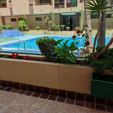 Apt San Luis Торрев'єха Екстер'єр фото